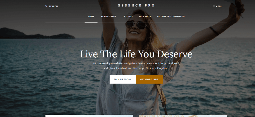 25 Best WordPress Themes For Blogs 2022 Reviewed 17