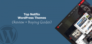 Netflix WordPress themes