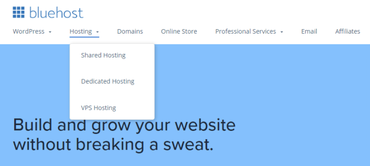 Bluehost hosting types