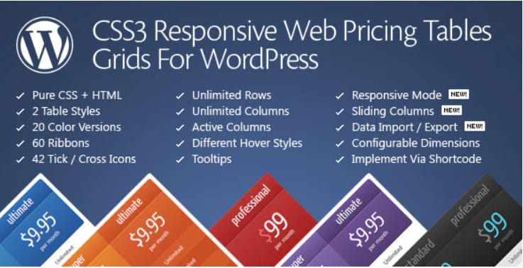 CSS3 pricing