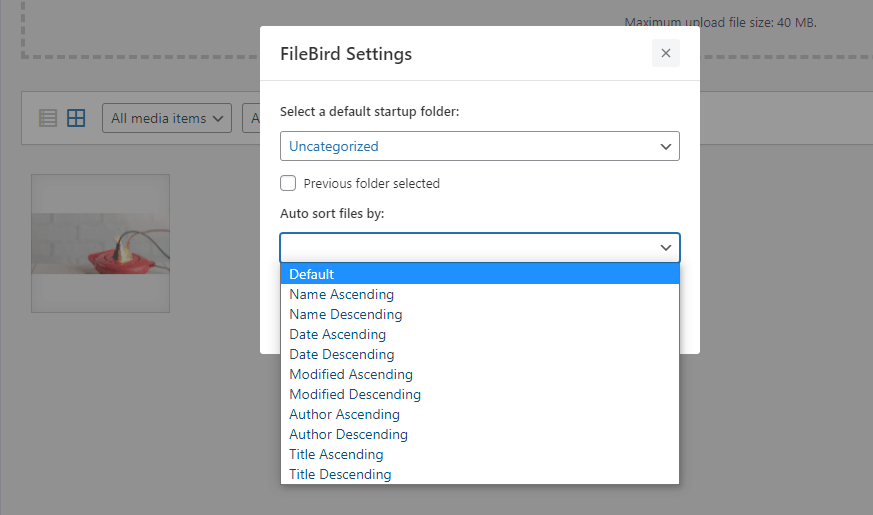FileBird auto sorting feature