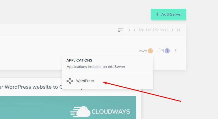 Cloudways WordPress Application