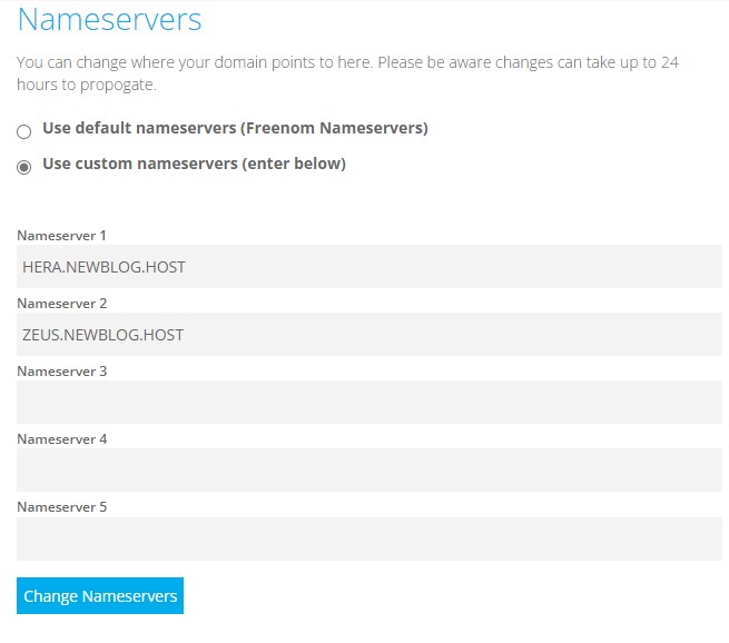 domain control panel nameserver setting