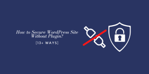 how to secure wordpress site without plugin