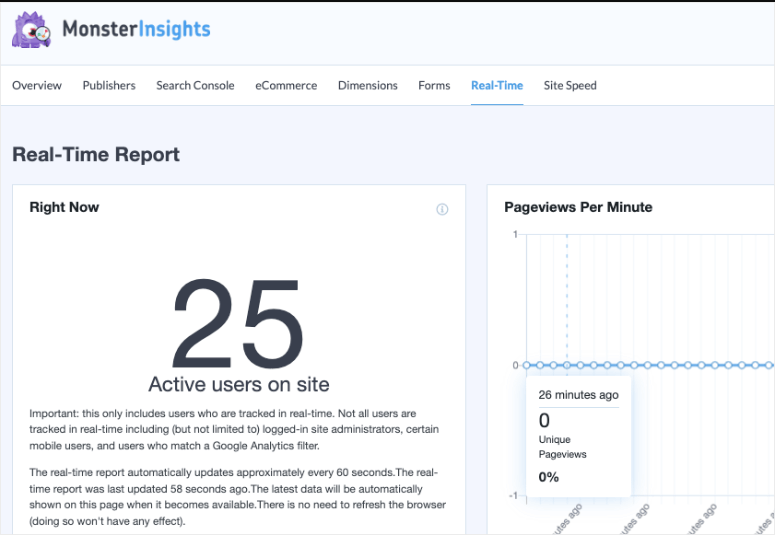 monsterinsight realtime report